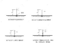 寧杞7號定植當年整形修剪技術圖解