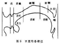 生理語音學