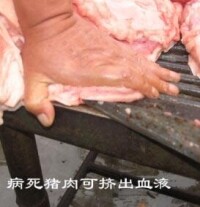 豬黃脂病病豬豬肉