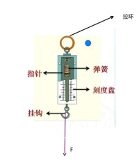 彈簧測力計