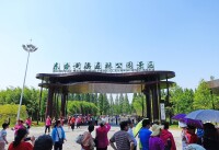 東台黃海森林公園高清組圖