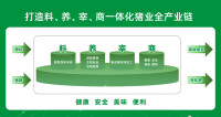 廣西揚翔股份有限公司企業鏈