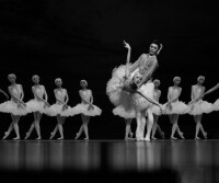 遼寧芭蕾舞團
