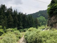 傳說中位於興隆山西山的蒲家墳（遠景）