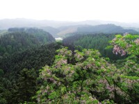 花岩溪國家森林公園