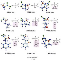 生物體中的氨基酸