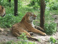 長春動植物公園