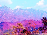 南陽伏牛山世界地質公園景色