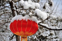 八月十五雲遮月，正月十五雪打燈