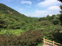 黃山魯森林公園