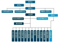 中國風險投資有限公司