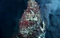 海底”黑煙囪“是20世紀海洋科學最重大發現