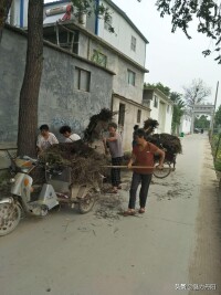 丹陽街道