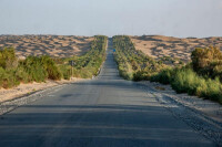 塔里木沙漠公路