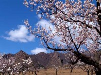 虹螺山