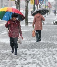 2月19日早晨上海的降雪開始加大