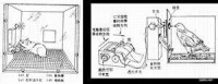 操作條件反射