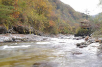 陝西太白山國家級自然保護區