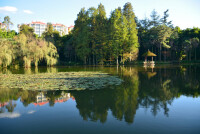 矣六村昆明植物園