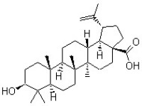 分子結構