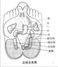 全息圖