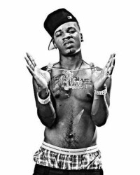 Plies