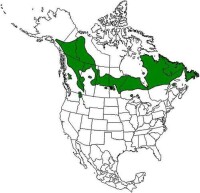 北美林地馴鹿分布圖