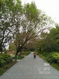 劍英公園51