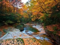 甘肅壽鹿山國家森林公園