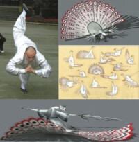 白孔雀“沈王爺”靈感來自青城山的白衣武者