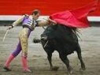 西班牙鬥牛節
