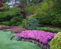 布查特花園