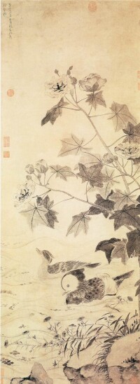 芙蓉鴛鴦圖