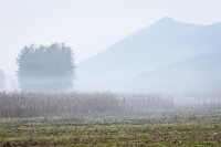 夾溝鎮