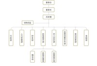 匯金公司組織結構