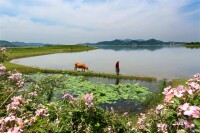 浮橋河國家濕地公園