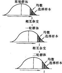 輪迴選擇