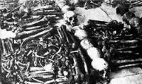 二戰結束后，新加坡各處挖出無數具的骨骸