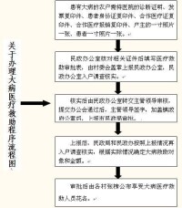 城鄉大病醫療救助