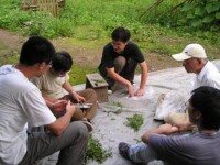 植物群落學調查