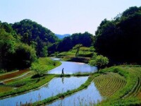 龍灣鎮[廣東省羅定市龍灣鎮]風貌