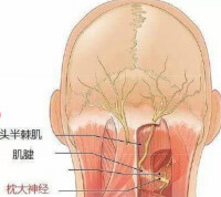 後腦勺疼痛