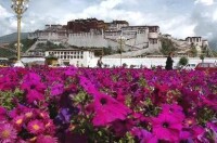 西藏自治區籌備委員會