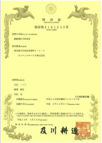 合併圖冊