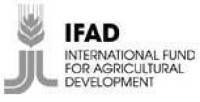 國際農業發展基金