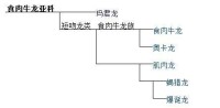 食肉牛龍屬