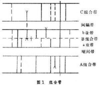 生物地層學