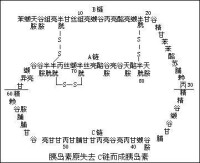 壬基酚氧乙烯