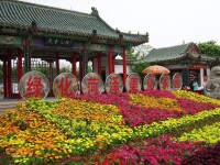 天香公園