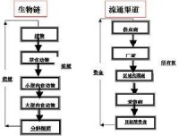 生態營銷的生物鏈